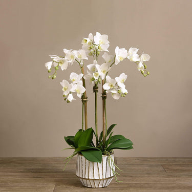 Flowers-Artificial Orchid Arrangement-Bloomr