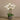 Flowers-Artificial Orchid Arrangement-Bloomr