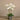 Flowers-Artificial Orchid Arrangement-Bloomr