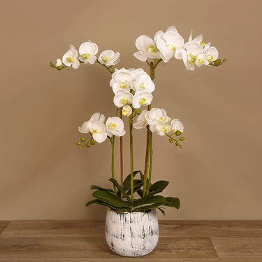 Flowers-Artificial Orchid Arrangement-Bloomr
