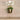 Flowers-Artificial Orchid Arrangement in Gold Standing Vase-Bloomr