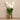 Flowers-Artificial Vanda Arrangement-Bloomr