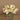 Flowers-Cymbidium Arrangement in Glass-Bloomr