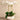 Flowers-Greenhouse Artificial Orchid Arrangement-Bloomr