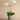 Flowers-Artificial Orchid Arrangement-Bloomr