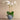Flowers-Moroccan Orchid Arrangement-Bloomr