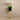 Flowers-Orchid Arrangement-Bloomr
