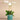 Flowers-Orchid Arrangement in Ceramic Vase-Bloomr