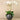Flowers-Orchid Arrangement in Ceramic Vase-Bloomr