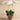 Flowers-Rustic Orchid Arrangement-Bloomr