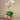 Flowers-Santa Fe Orchid Arrangement-Bloomr