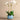 Flowers-Santa Fe Orchid Arrangement-Bloomr