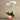 Flowers-Santa Fe Orchid Arrangement-Bloomr