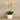 Flowers-Artificial Orchid Arrangement-Bloomr