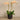 Flowers-Artificial Orchid Arrangement-Bloomr