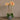 Flowers-Modern Orchid Arrangement-Bloomr