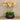 Flowers-Oasis Artificial Orchids in Black Pot-Bloomr