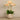 Flowers-Artificial Orchid Arrangement-Bloomr