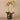 Flowers-Artificial Orchid Arrangement-Bloomr