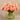 Floral Arrangement-Artificial Tulips in Glass Vase-Bloomr