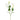 Flowers-Lisanthus-Bloomr