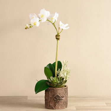 Flowers-Big Sur Artificial Orchid Arrangement-Bloomr