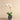 Flowers-Coastal Artificial Orchid Arrangement-Bloomr