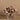 Flowers-Velvet Magnolia in Glass Vase-Bloomr