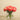 Floral Arrangement-Artificial Ranunculus Arrangement in Glass Vase-Bloomr