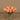 Flowers-Rose Arrangement in Glass Vase-Bloomr