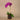 Flowers-Artificial Orchid Arrangement-Bloomr