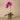 Flowers-Artificial Orchid Arrangement-Bloomr