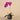 Flowers-Artificial Orchid Arrangement-Bloomr
