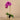 Flowers-Jewel Artificial Orchid Arrangement-Bloomr