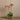 Flowers-Artificial Orchid & Succulent Arrangement-Bloomr