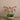 Flowers-Sleek Artificial Orchid Arrangement-Bloomr