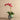 Flowers-Coastal Artificial Orchid Arrangement-Bloomr