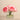 Floral Arrangement-Artificial Peony Arrangement in Glass Vase-Bloomr