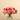 Flowers-Artificial Peony Arrangement in Glass Vase-Bloomr