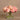 Flowers-Artificial Rose Arrangement in Glass Vase-Bloomr
