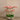 Flowers-Sleek Artificial Orchid Arrangement-Bloomr