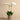 Flowers-Artificial Orchid Arrangement-Bloomr
