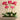 Flowers-Contemporary Artificial Orchid Arrangement-Bloomr