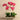 Flowers-Contemporary Artificial Orchid Arrangement-Bloomr