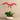 Flowers-Greenhouse Artificial Orchid Arrangement-Bloomr