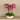 Flowers-Oasis Artificial Orchid Arrangement-Bloomr