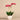 Flowers-Orchid Arrangement in Ceramic Vase-Bloomr