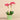 Flowers-Orchid Arrangement in Ceramic Vase-Bloomr