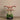 Flowers-Oasis Artificial Orchids in Black Pot-Bloomr