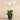 Flowers-Artificial Orchid Arrangement-Bloomr